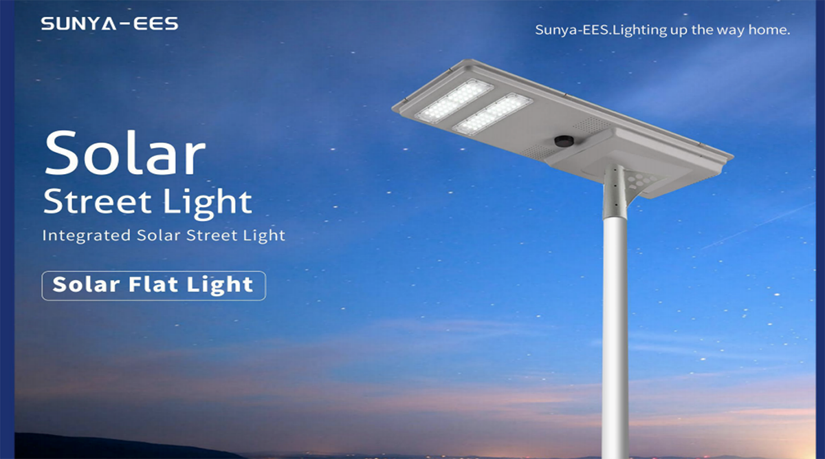 Solar Street Light 7